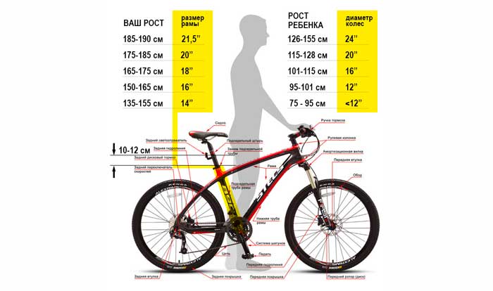 Выбор велосипеда по росту