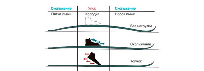 Как выбрать лыжи ребенку по типу катания