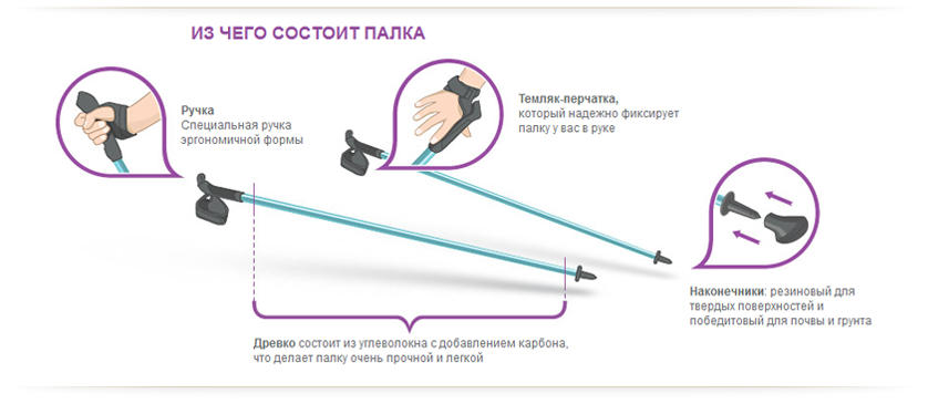 из чего состоят палки для скандинавской ходьбы