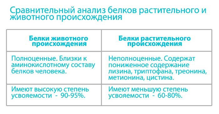 Анализ белка в организме