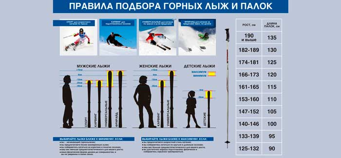 Как выбрать лыжи по размеру лыж и палок