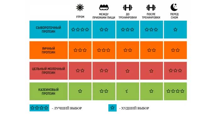 Польза и вред протеина