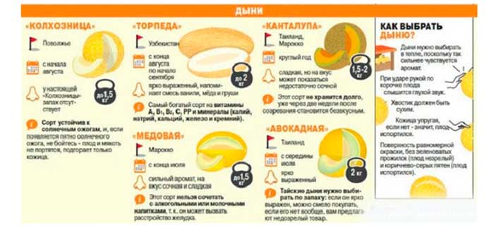 Как выбрать дыню торпеду:советы