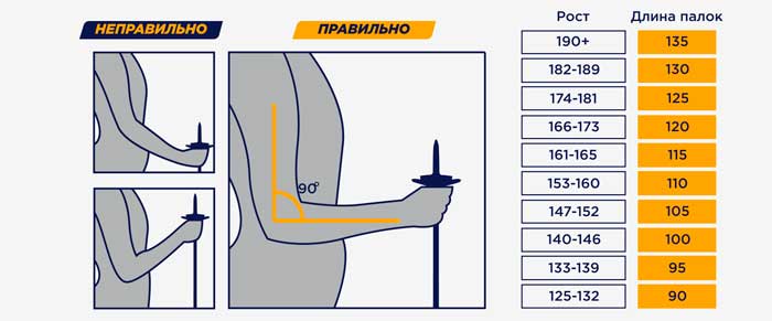 Как выбрать лыжи и палки ребенку 