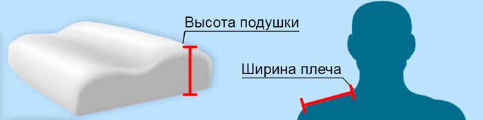 Как подобрать подушку по размеру плеча