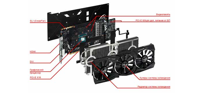 Особенности устройства  видеокарты для пк
