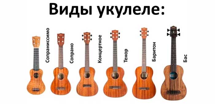 Виды укулеле