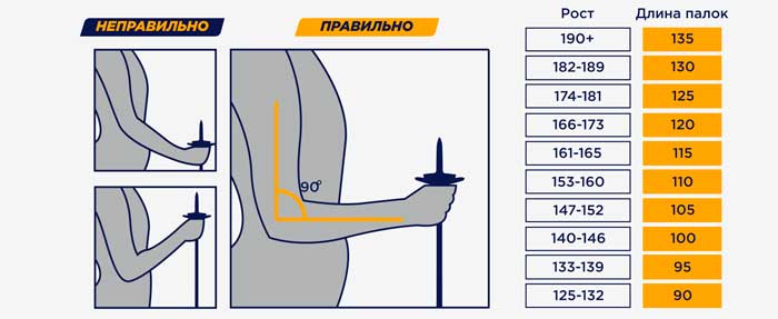 Как подобрать лыжи и палки