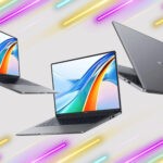 Ноутбуки Honor MagicBook X (2024): що нового в лінійці?