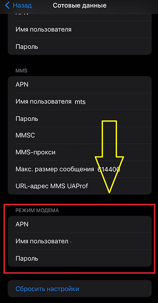 Як увімкнути режим модему на Айфоні: включення для будь-якого оператора РФ