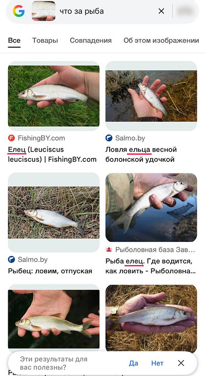 Як налаштувати Google Assistant: Увімкніть, відключіть та видаліть назавжди на Android та iPhone